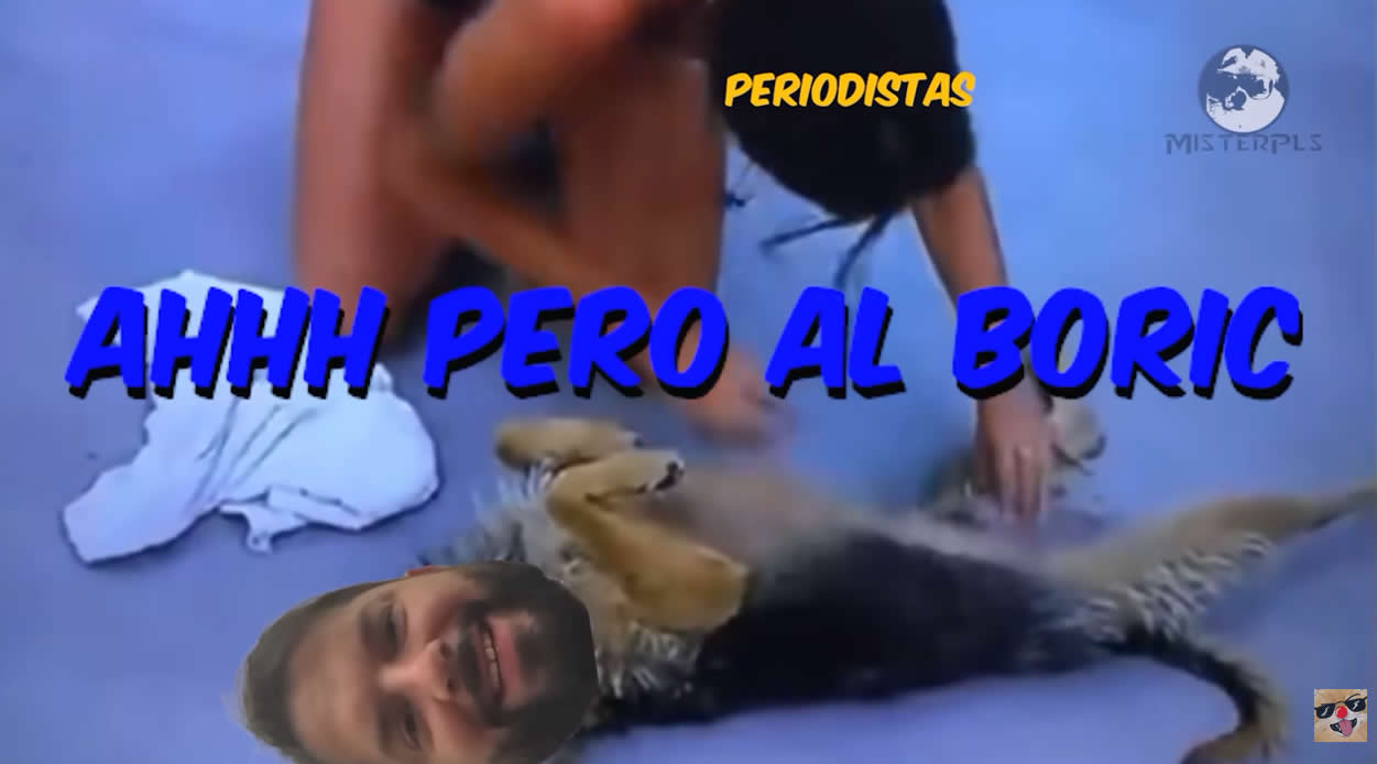 pichulaperro.jpg