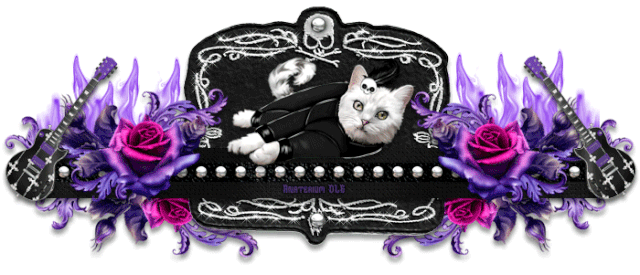 Rockin Catdivider.gif