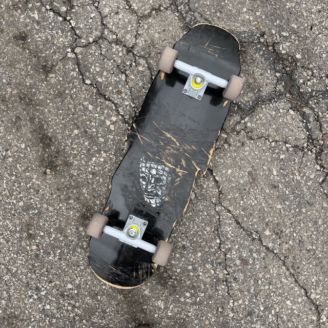 IMG 0486