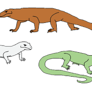 Lizards