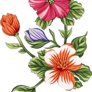 7ab1a8c47c16b36c45b53ebf084ece28