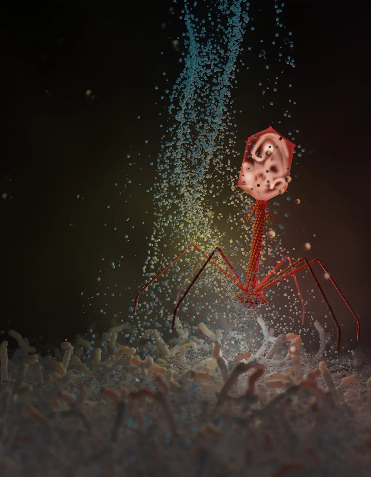 Antiviral Soil Compound Disrupts Phage Infection Cycle