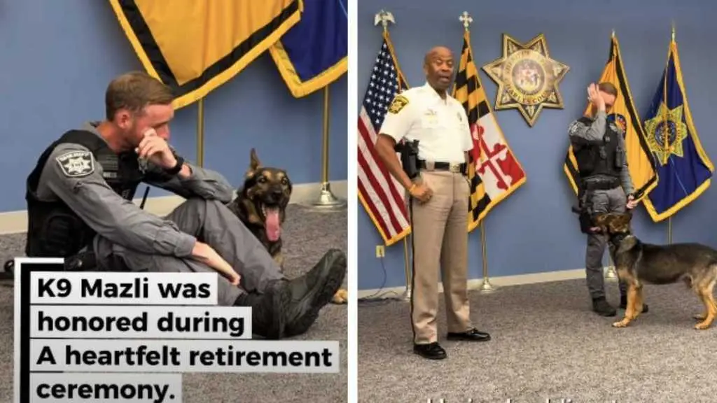 K9's Emotional Retirement Ceremony