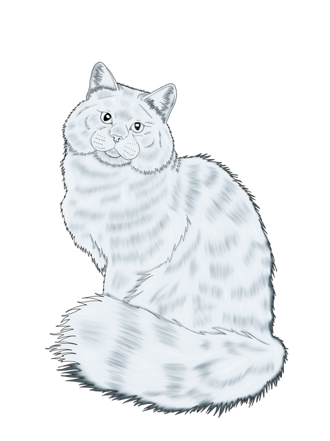 Untitled-76.png
