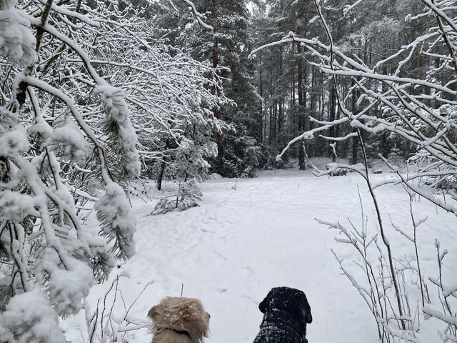 ABA7-B4-A0-0-EE1-4625-ADE5-FB15-E15-DB02