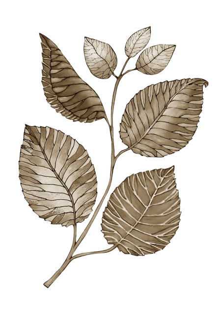 ec67b1ce0ec2ea324aaa7621a303eb6c.png