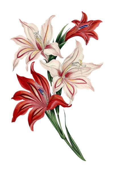 2e67da91e8ab96cc83d3ec6a1966a2eb.png