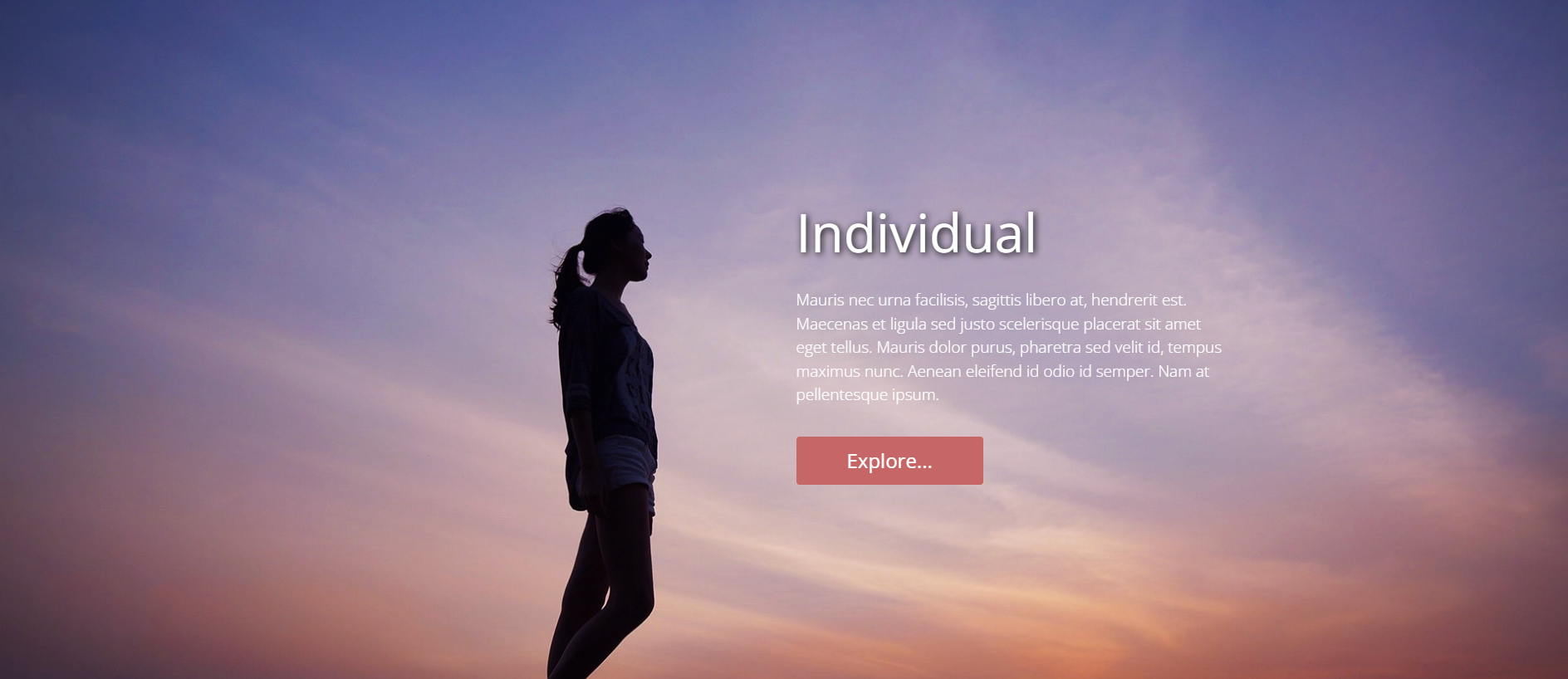 Screenshot of dianmam.com
