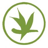Verdant Tea logo