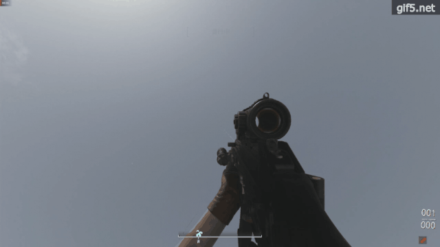 gif5