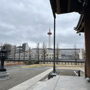 IMG-2841