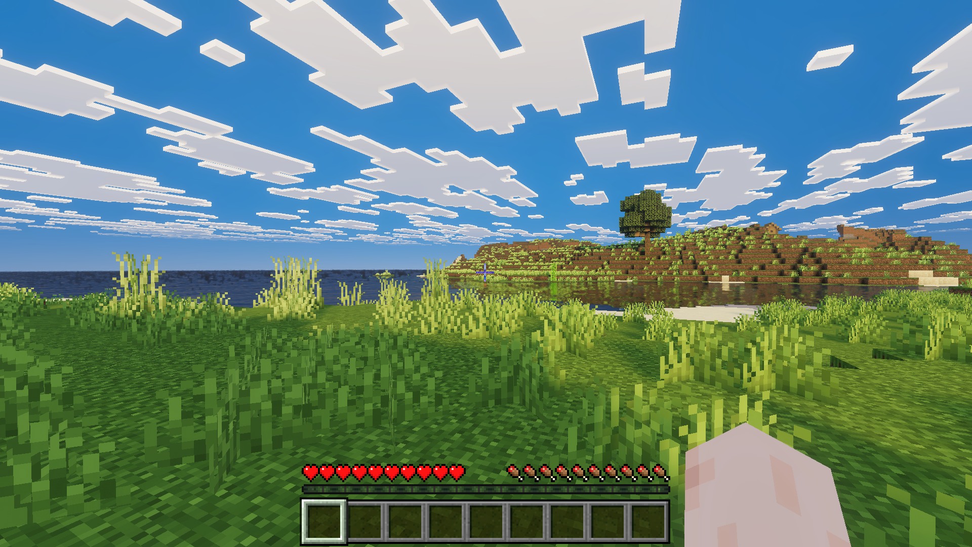 preview1