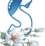 20101230-45