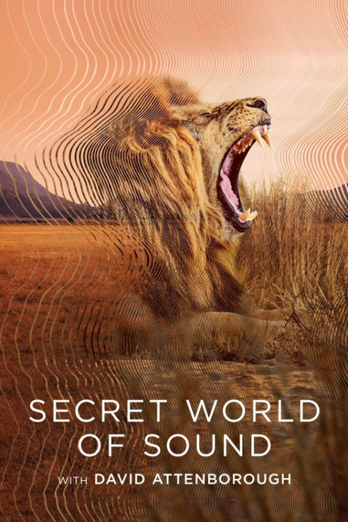 David Attenborough: Tajemniczy świat dźwięków / Secret World of Sound with David Attenborough (2024) (Sezon 1) MULTi.1080p.NF.WEB-DL.H264.DDP5.1.Atmos-K83 / Lektor i Napisy PL