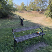 IMG 3156