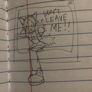 IMG 2800