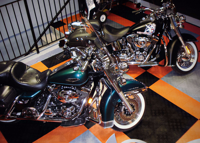 two harleys