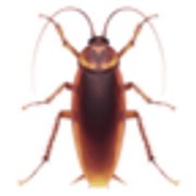 cockroach-1fab3