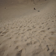 DSC01244