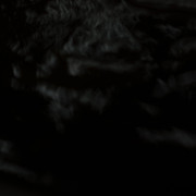 DSC 6617