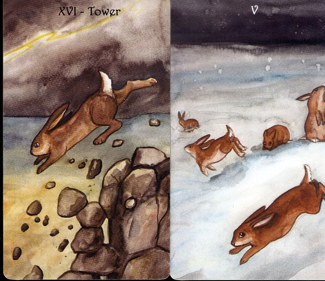 badgers forest rabbits