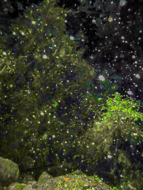 IMG-0599s2