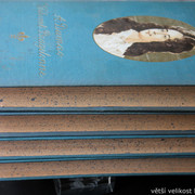 IMG-8312