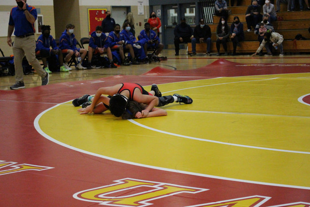 IMG-0178