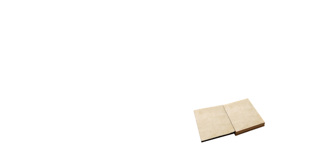Libro-Abriendose10.png
