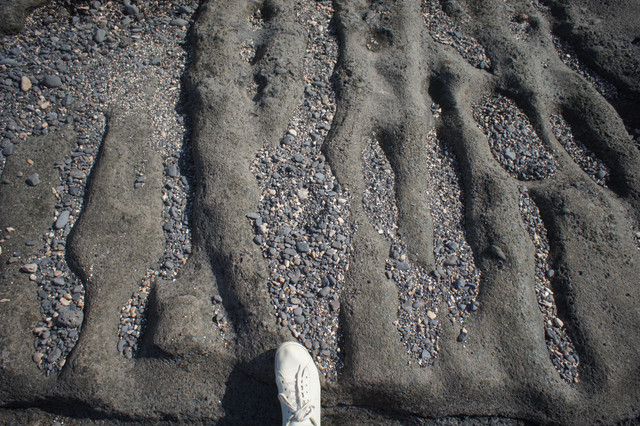 DSC01006
