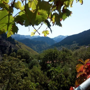 img4b
