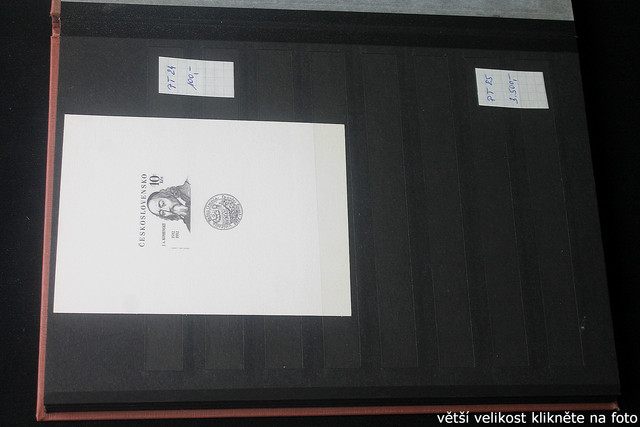 IMG-2368.jpg