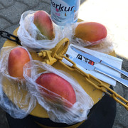 IMG-3357