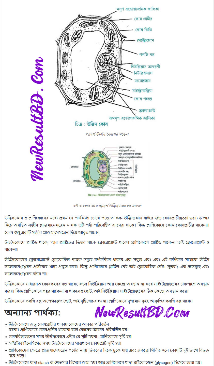 Class 9 9th Week Biology Assignment Answer