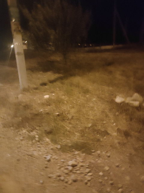 IMG20230704224311