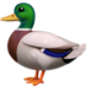 duck-1f986
