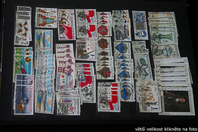 IMG-3384.jpg
