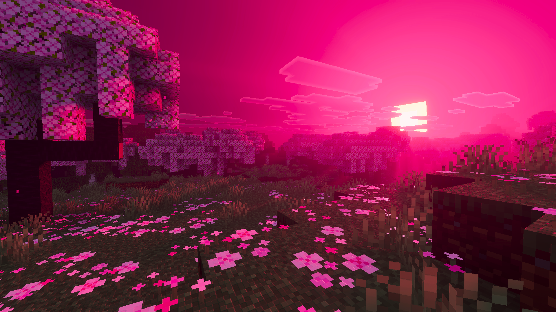 Cherry Meadow Sunset