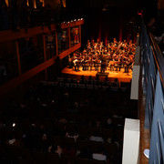 DSC00695