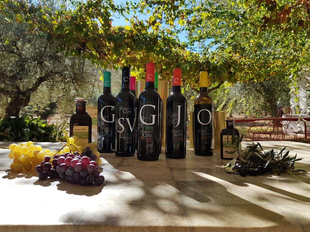 Cortijo El Cura Eco-Bodega - imagen de la galería