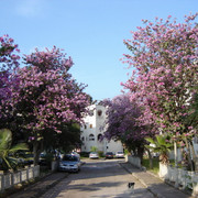 DSC06019