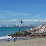 P1100386