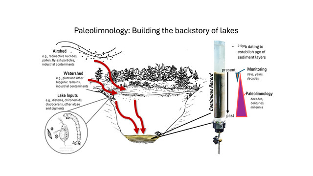 paleo