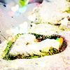 graffitigraphic-stock812