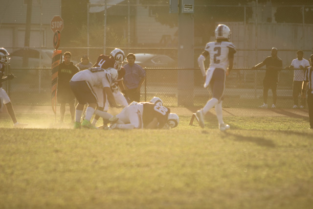 IMG-6550.jpg