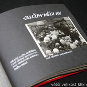 IMG-7588