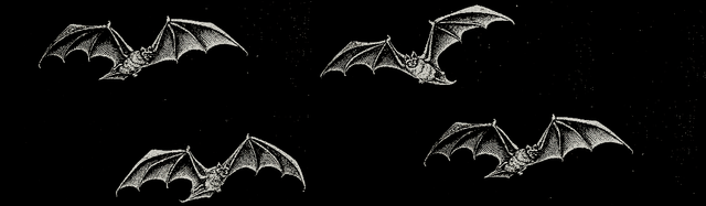 header48