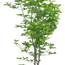 7e647683d03bb889ef7ddfab7536dfb3ff (156)