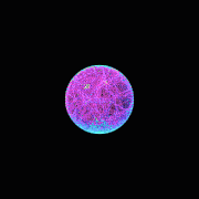 ART (6).gif