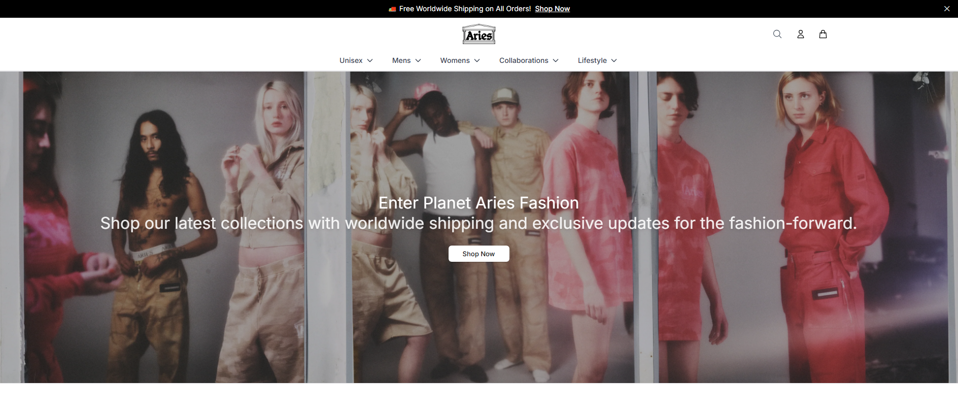 Stored capture of ariese.shop